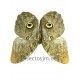 Caligo eurilochus livius (Macho)