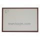 ExpoBox EX03 (39 x 27 x 5.5 cm.)